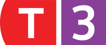 T3